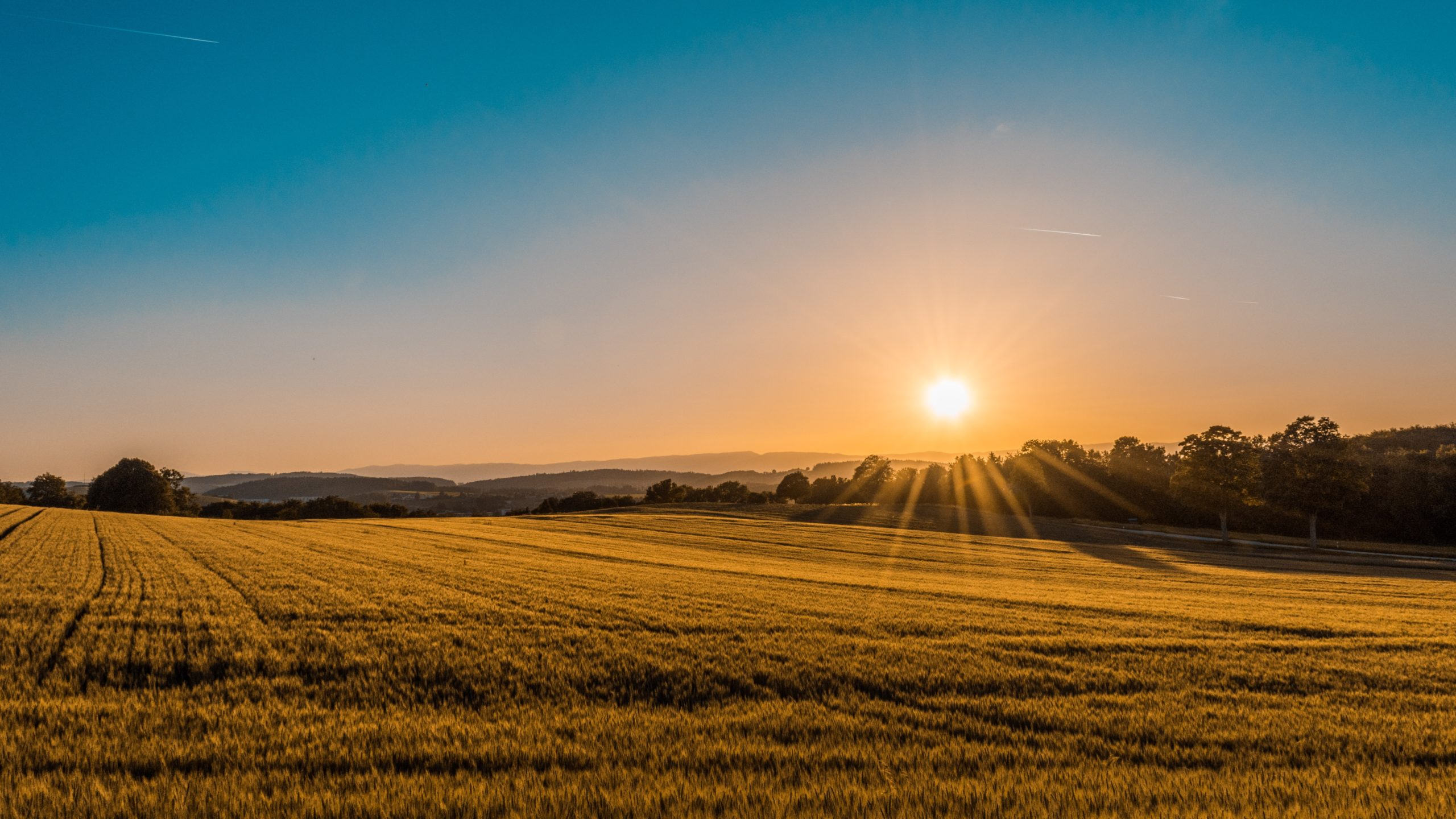 agricura_15